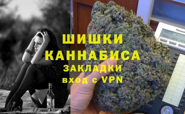 спиды Богданович