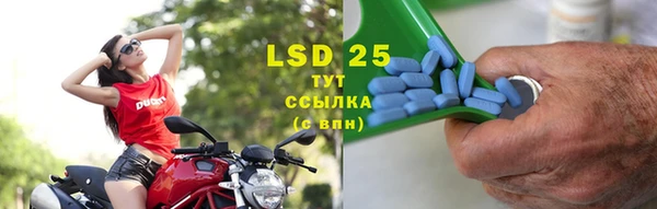 спиды Богданович
