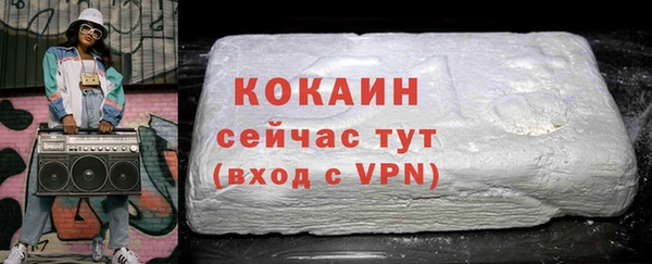 хмурый Касимов