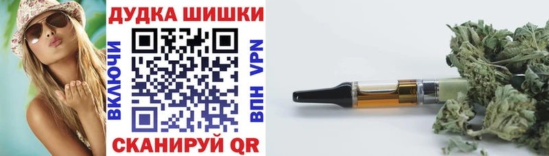 гидра ТОР  Малая Вишера  Марихуана планчик 